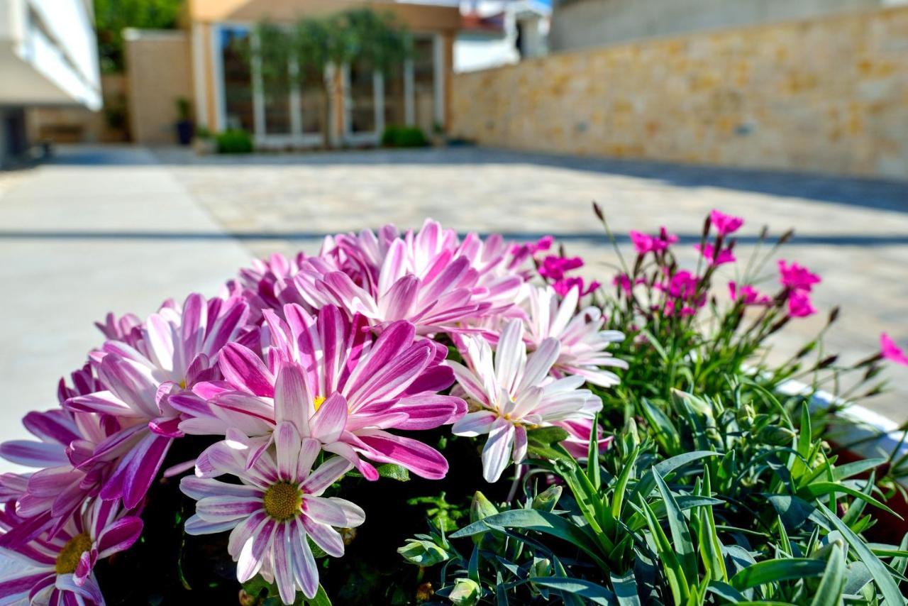 Villa Karla Zadar Exterior foto